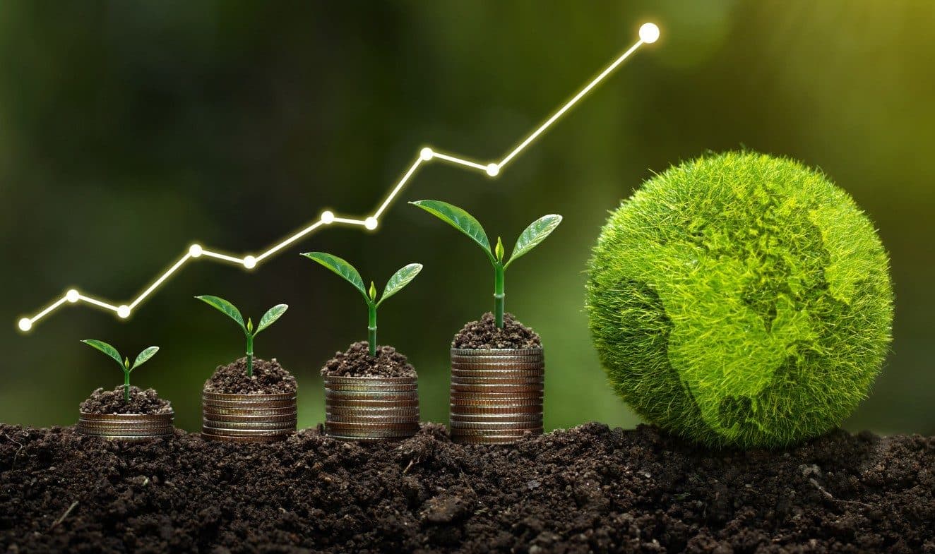 NRB Urges Government to Grant National Recognition to Green Finance Taxonomy