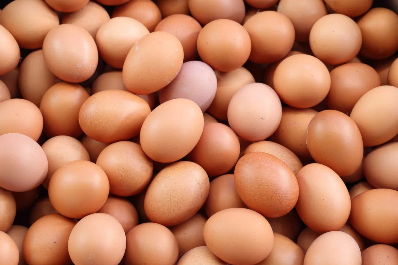 Egg Prices Rise Again in Nepal, Retail Rates Reach Up to Rs 25 Per Egg