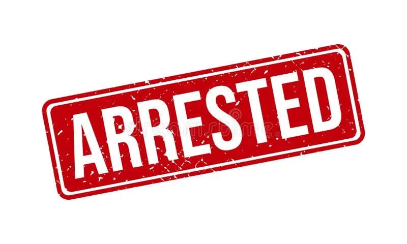 Businessman Arrested for Attempting Illegal Import Using Fake Permit
