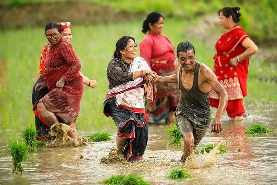 Bhaktapur's Juju Dhau Production Surges Ahead of Asar 15 Festival