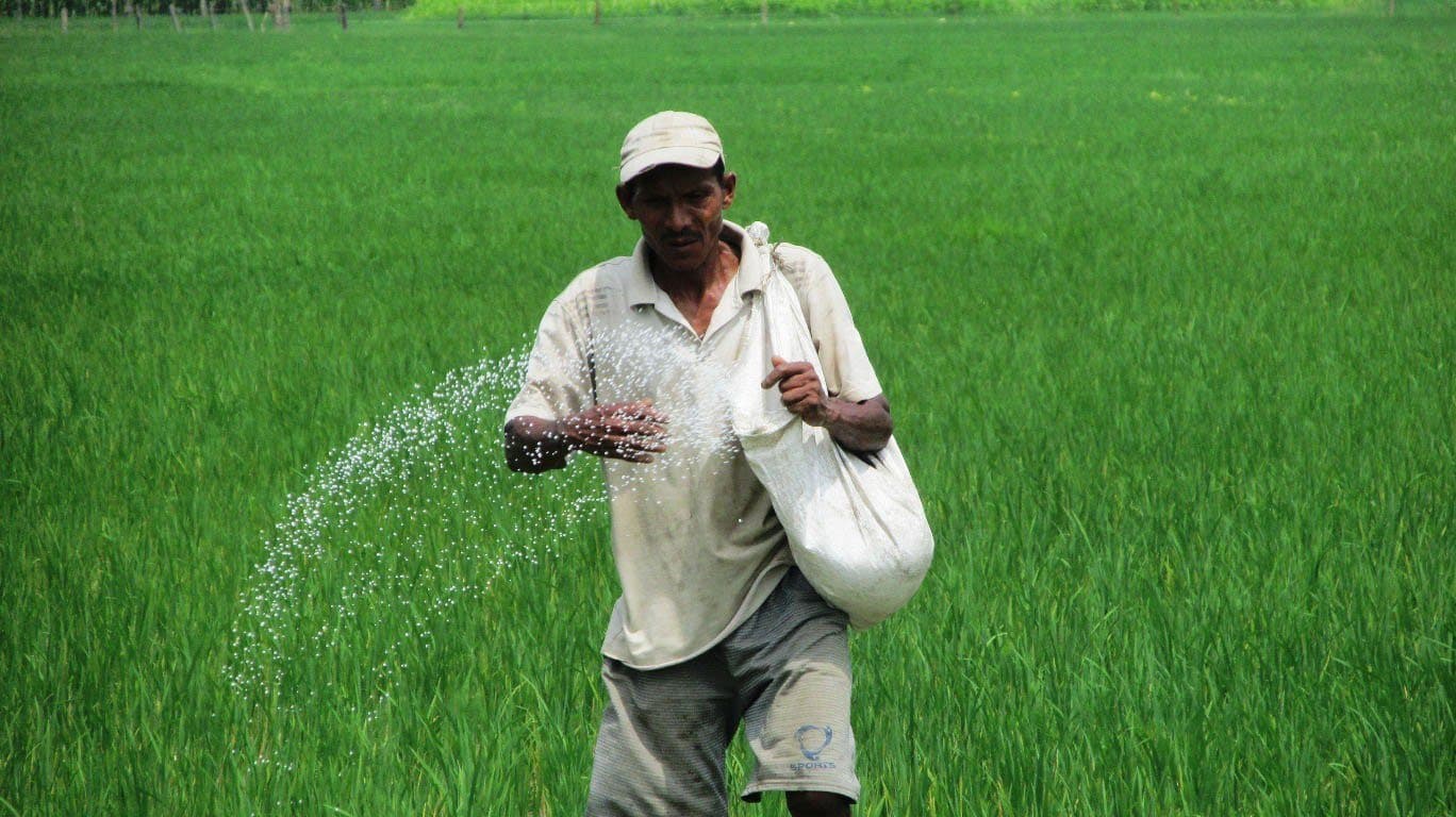 Nepal to Import 210,000 Metric Tons of Chemical Fertilizer by Mid-August to Support Paddy Farmers