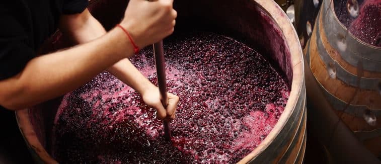 Winemakers Demand 80% Excise Duty Waiver to Protect Domestic Industry