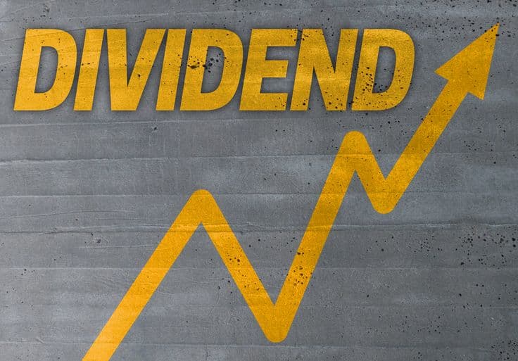 Dividend History Tracker: Top NEPSE Companies with Consistent Payouts