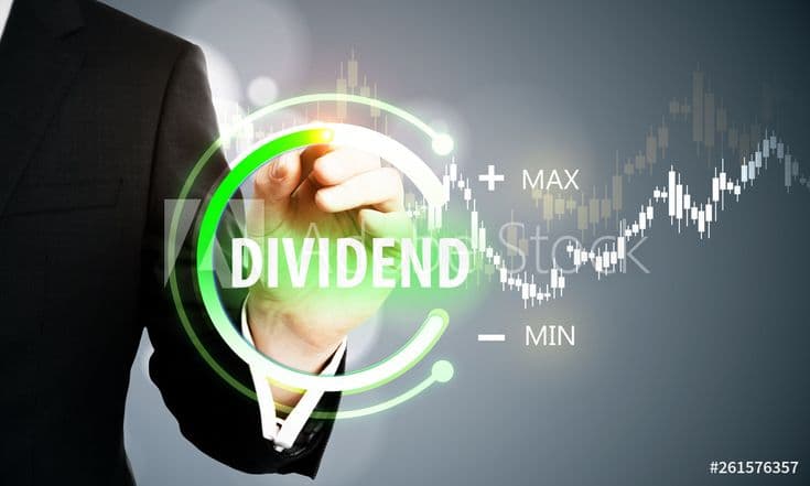 Top 10 Dividend-Paying Stocks in Nepal: 2080/81 Review