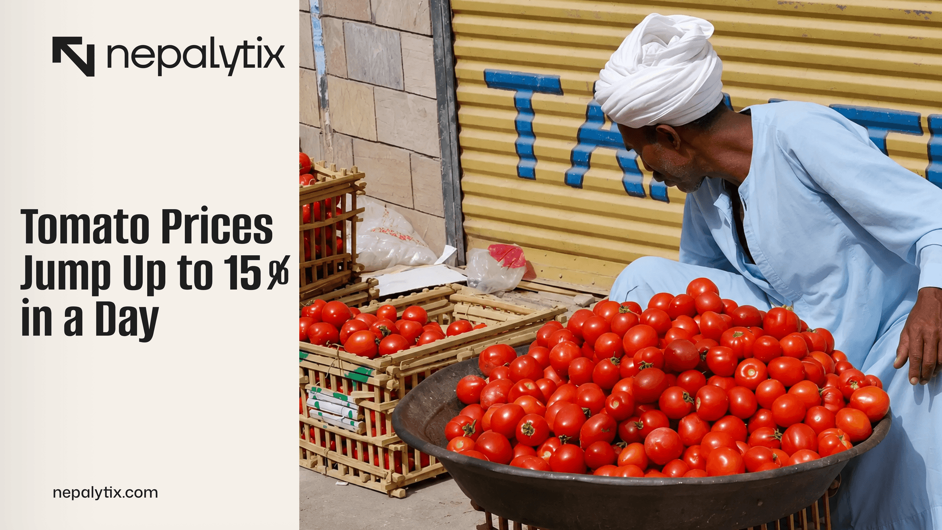 Tomato Prices Jump Up to 15% in a Day