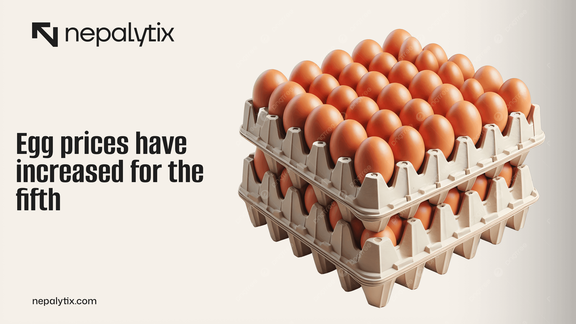 Egg Prices Rise Again