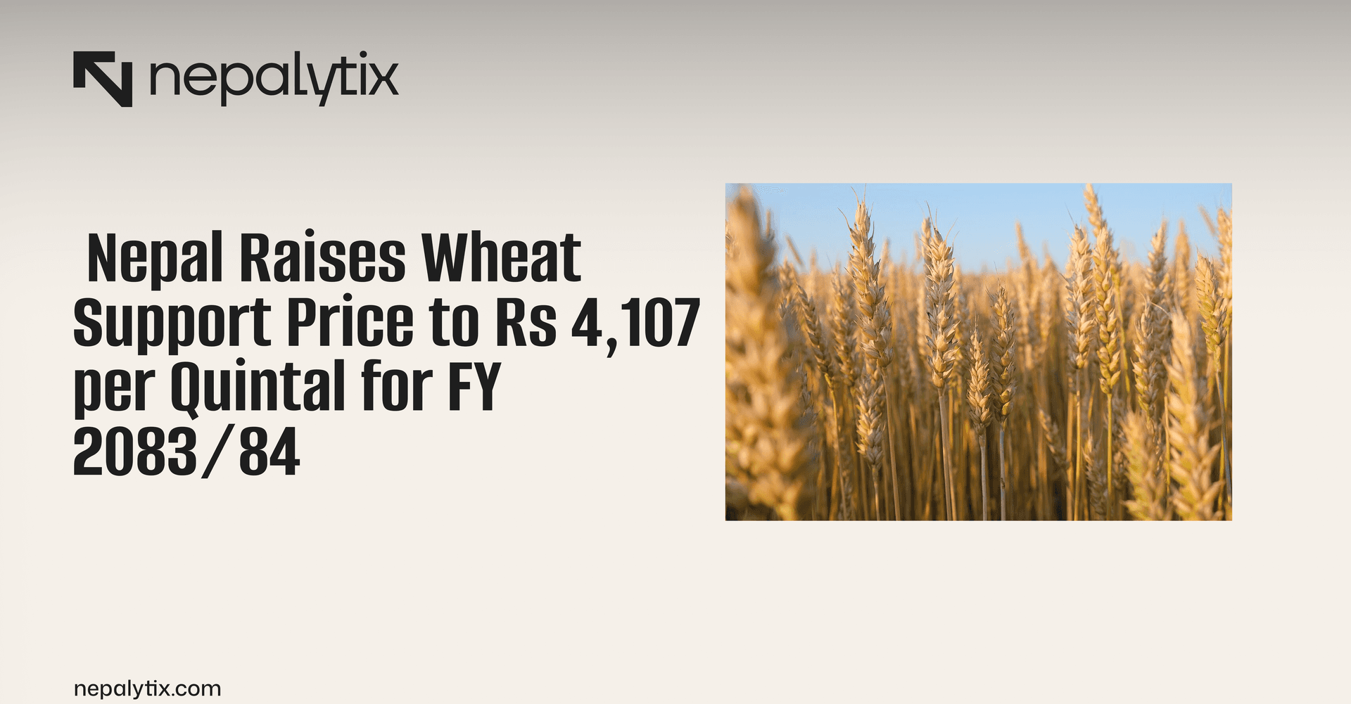 Nepal Raises Wheat Support Price to Rs 4,107 per Quintal for FY 2083/84