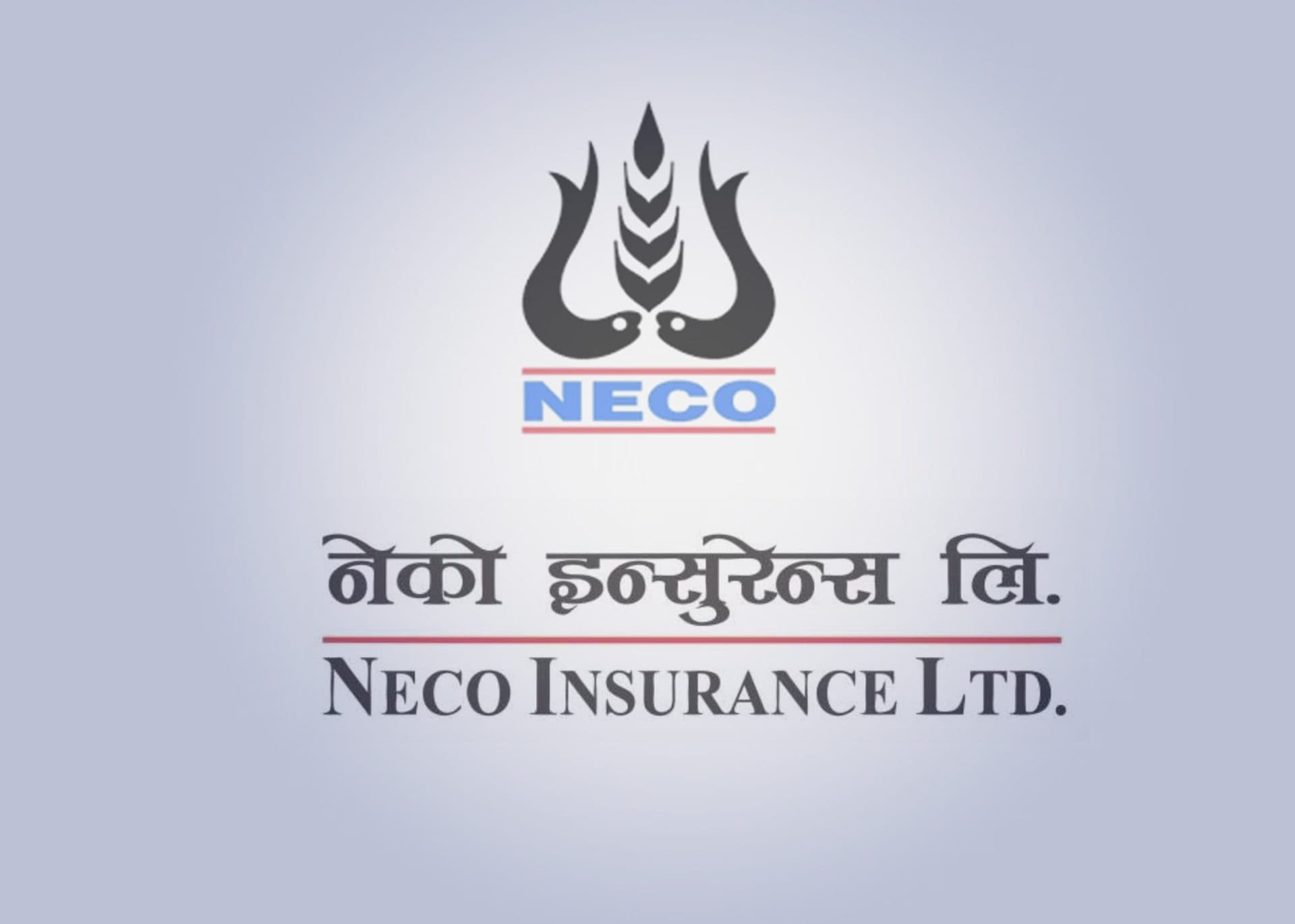 Neco Insurance Begins Sale of 1.2 Million Founder Shares, Existing Founders Given 35 Days to Apply