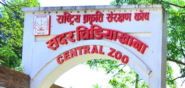 Jawalakhel Central Zoo Reopens After Bird Flu Outbreak is Contained