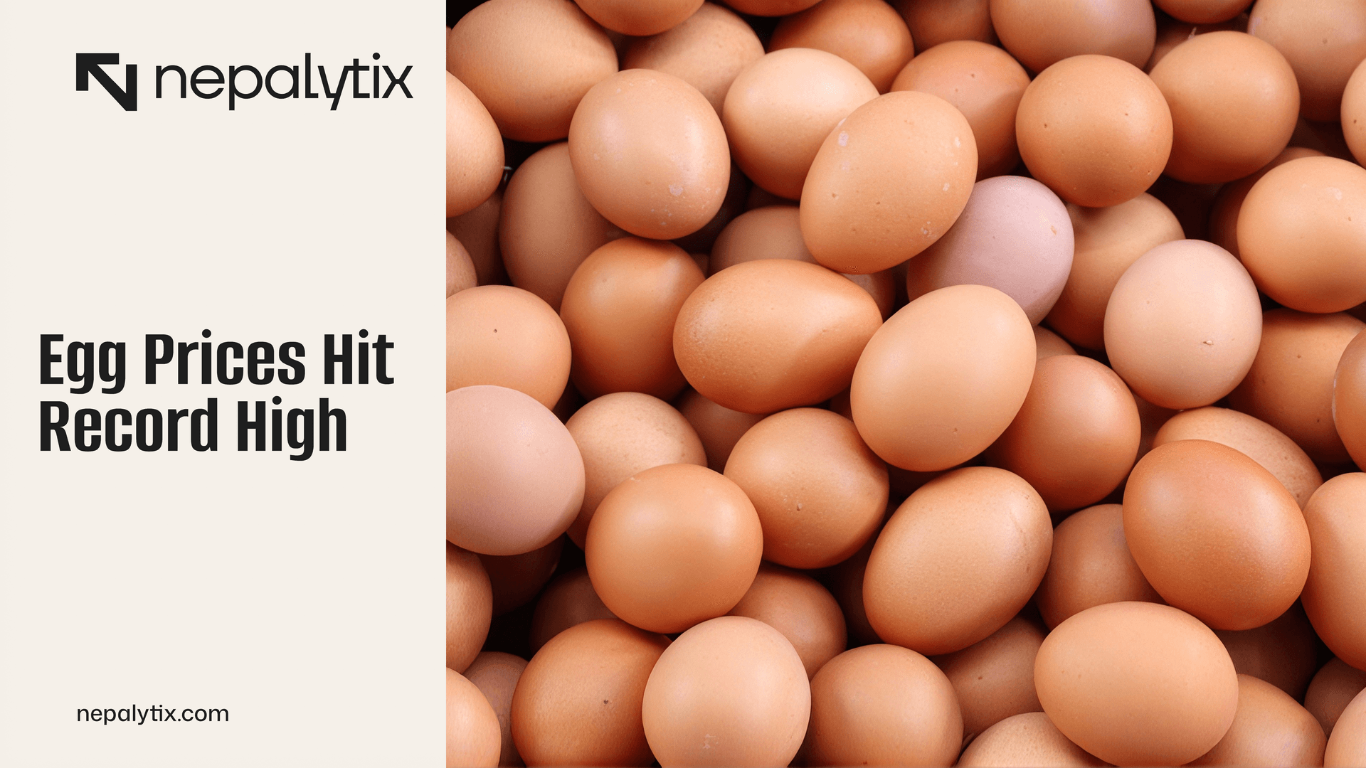 Egg Prices Hit Record High